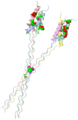 Image Asym. Unit - sites