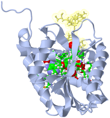 Image Biol. Unit 1 - sites