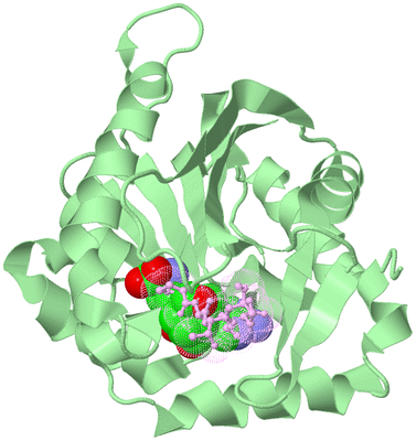 Image Biological Unit 2