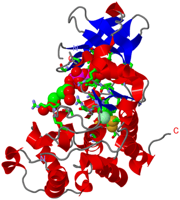 Image Asym./Biol. Unit - sites