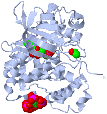 Image Biological Unit 1