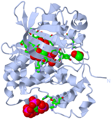 Image Biol. Unit 1 - sites