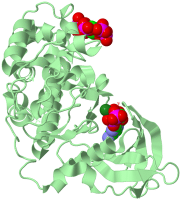 Image Biological Unit 2