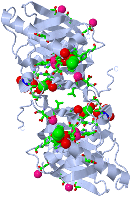 Image Biol. Unit 1 - sites