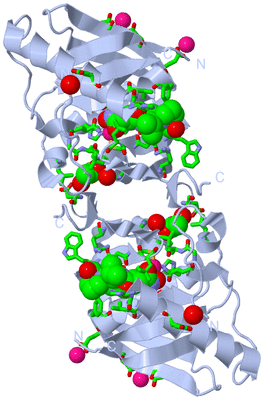 Image Biol. Unit 1 - sites