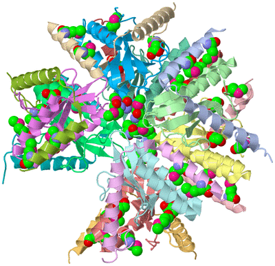 Image Asym./Biol. Unit