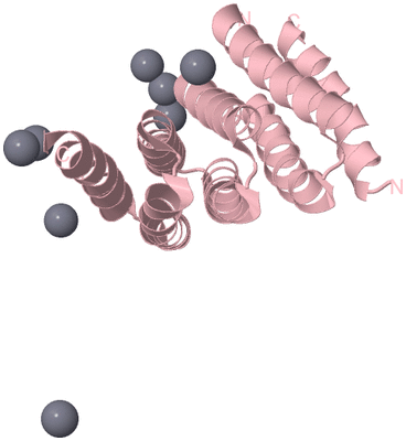 Image Biological Unit 3