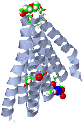 Image Biol. Unit 1 - sites