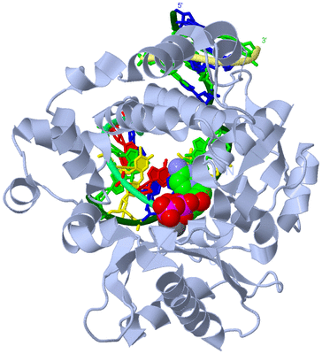 Image Biological Unit 1