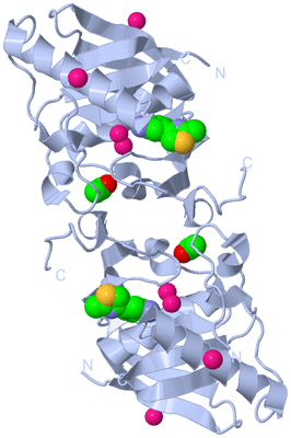 Image Biological Unit 1