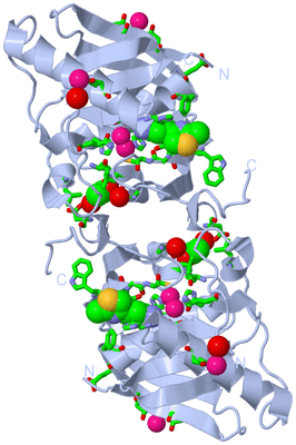 Image Biol. Unit 1 - sites