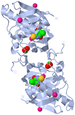 Image Biological Unit 1