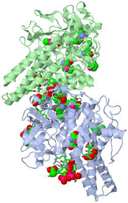 Image Asym./Biol. Unit - sites