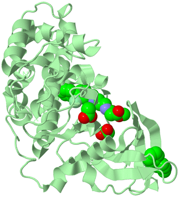 Image Biological Unit 2