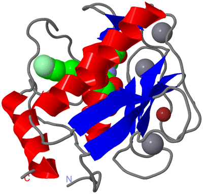 Image Asym./Biol. Unit