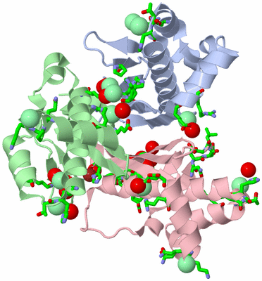 Image Asym./Biol. Unit - sites