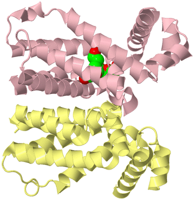 Image Biological Unit 2