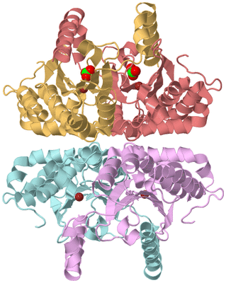 Image Biological Unit 2