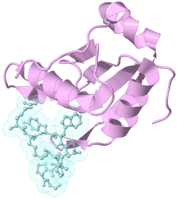 Image Biological Unit 3