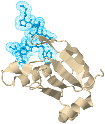 Image Biological Unit 5