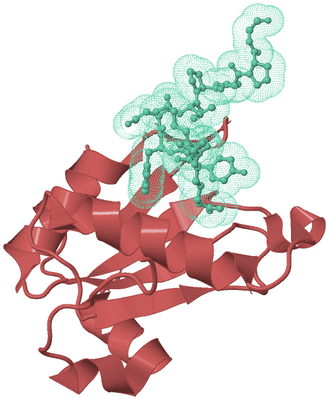 Image Biological Unit 6