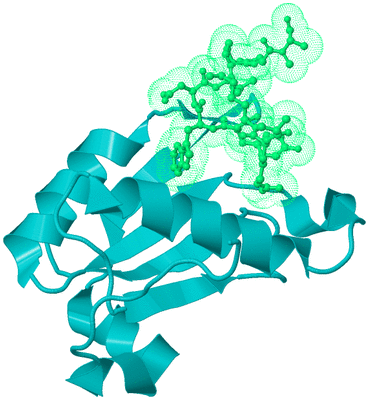 Image Biological Unit 8