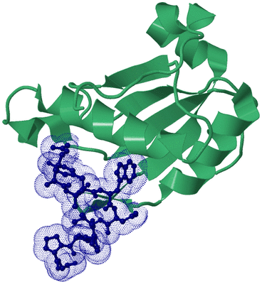 Image Biological Unit 9