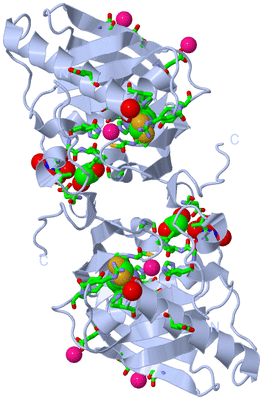 Image Biol. Unit 1 - sites