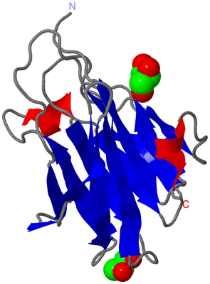 Image Asymmetric Unit