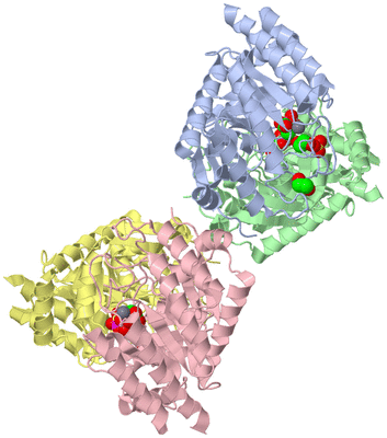 Image Asym./Biol. Unit