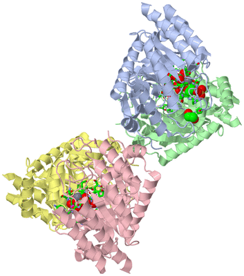 Image Asym./Biol. Unit - sites