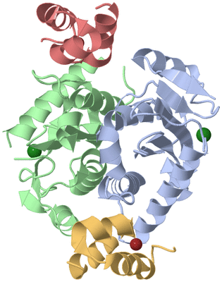 Image Biological Unit 1