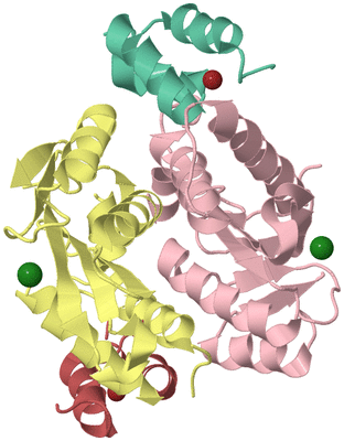 Image Biological Unit 2