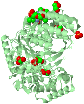 Image Biological Unit 2