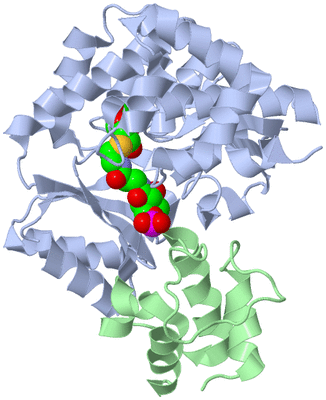 Image Asym./Biol. Unit