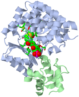 Image Asym./Biol. Unit - sites