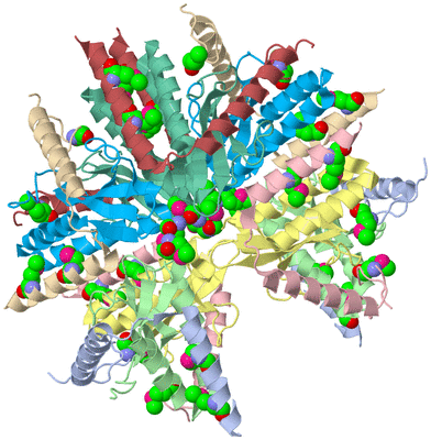 Image Biological Unit 1