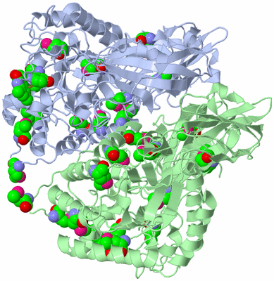 Image Asym./Biol. Unit