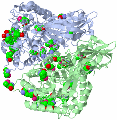 Image Asym./Biol. Unit - sites