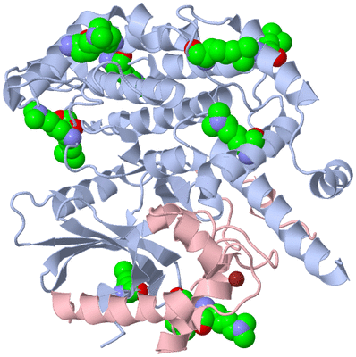 Image Biological Unit 1