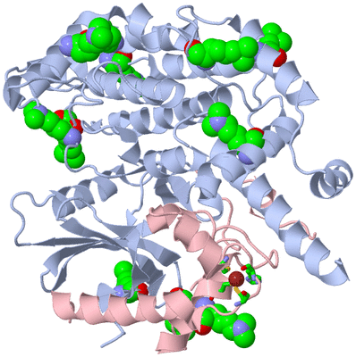 Image Biol. Unit 1 - sites