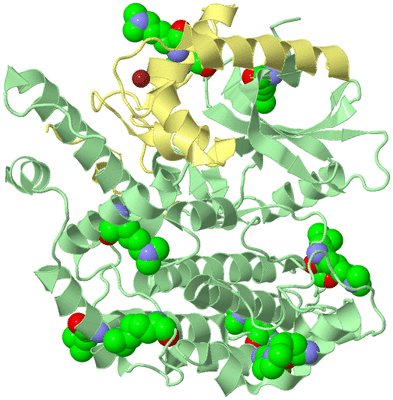 Image Biological Unit 2