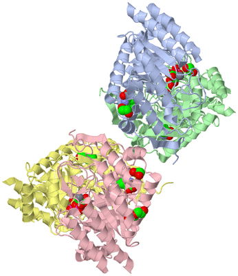 Image Asym./Biol. Unit