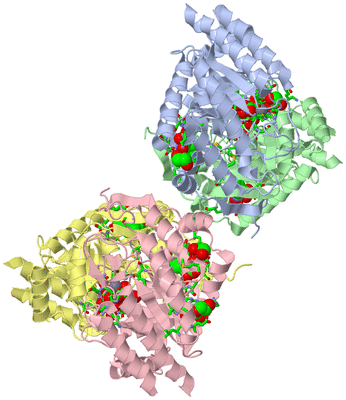 Image Asym./Biol. Unit - sites