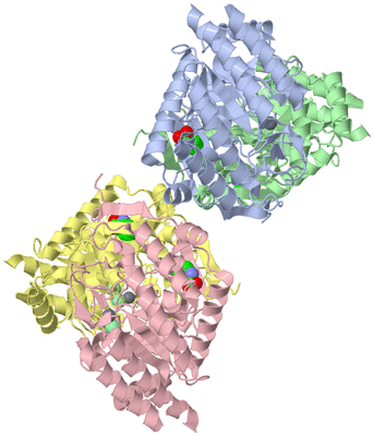 Image Asym./Biol. Unit