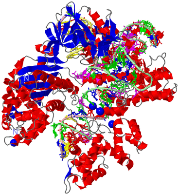 Image Asym./Biol. Unit