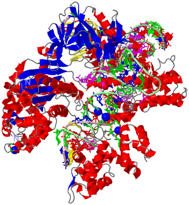 Image Asym./Biol. Unit - sites