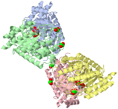 Image Asym./Biol. Unit