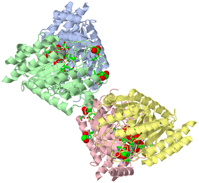 Image Asym./Biol. Unit - sites