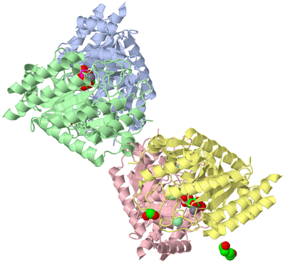 Image Asym./Biol. Unit